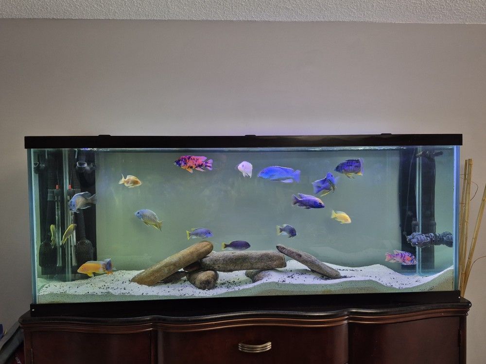 Fish Tank Aquarium Decoration