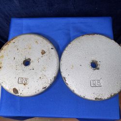Two 25 Lb Weight Plates 