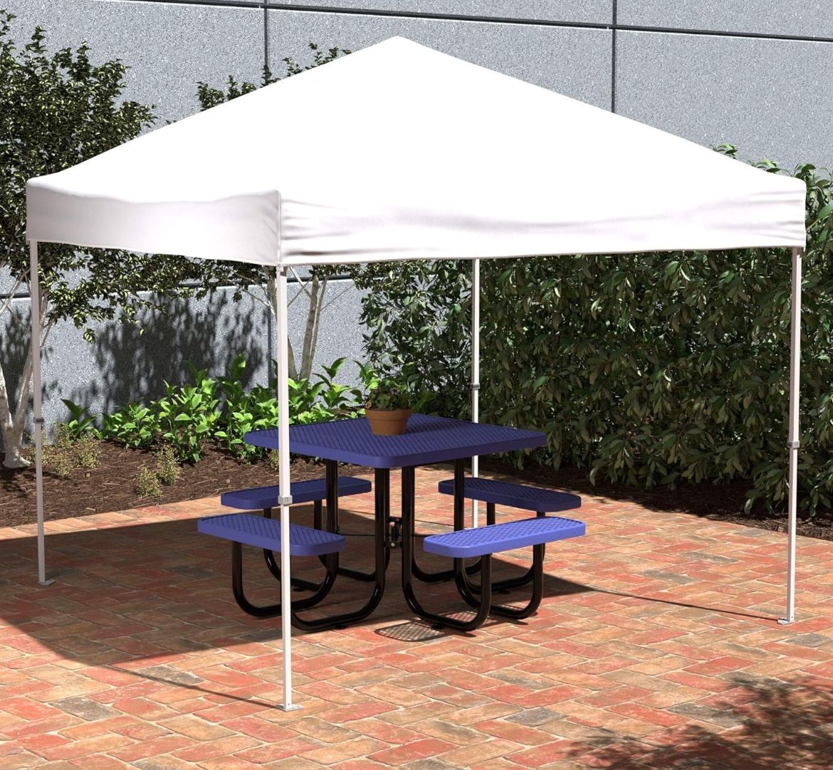 Canopy 10x10