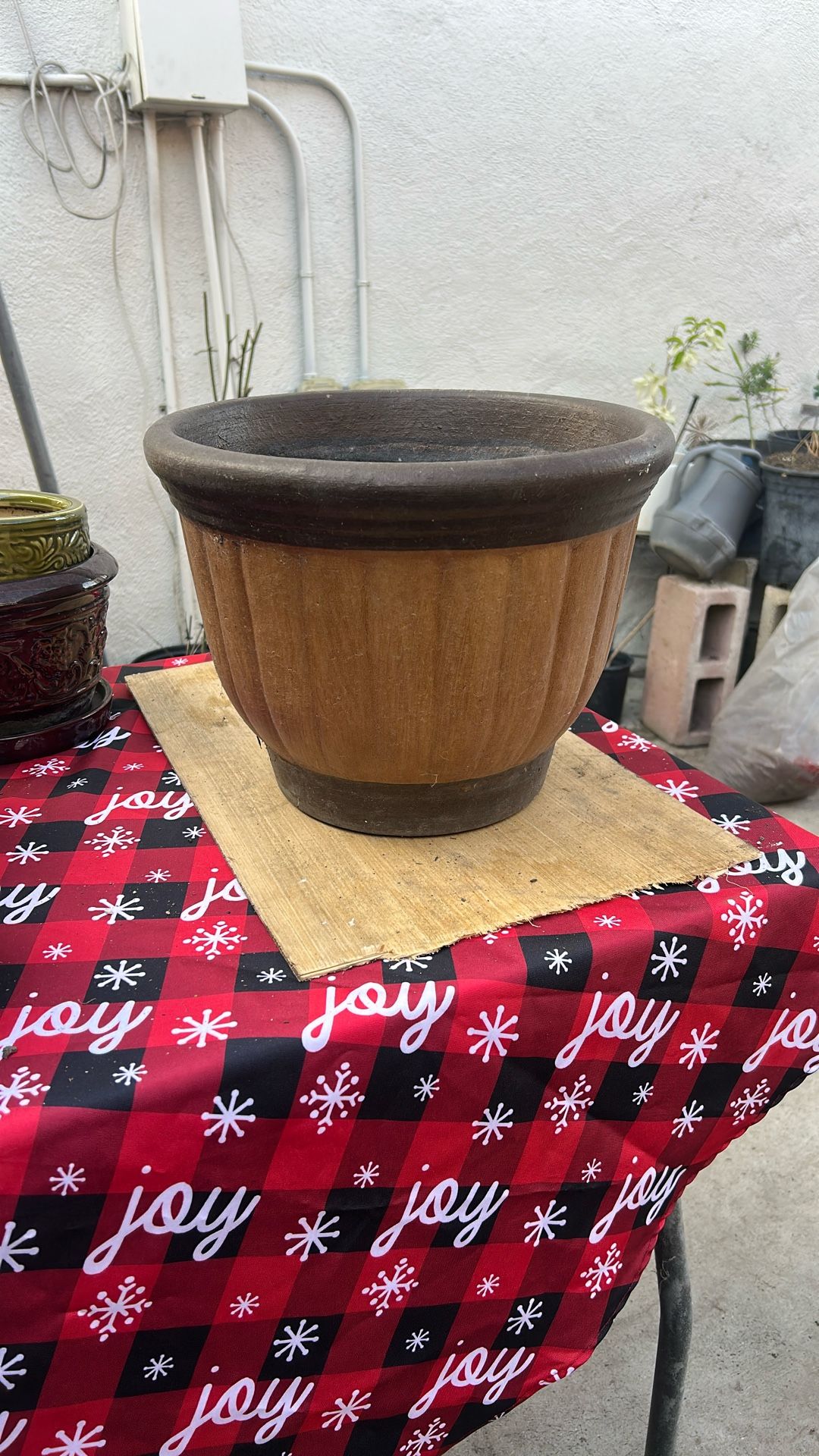 Plant Pot