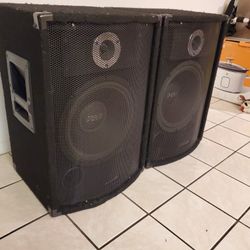 Pyle speaker 12 Made in USA drivers old school
