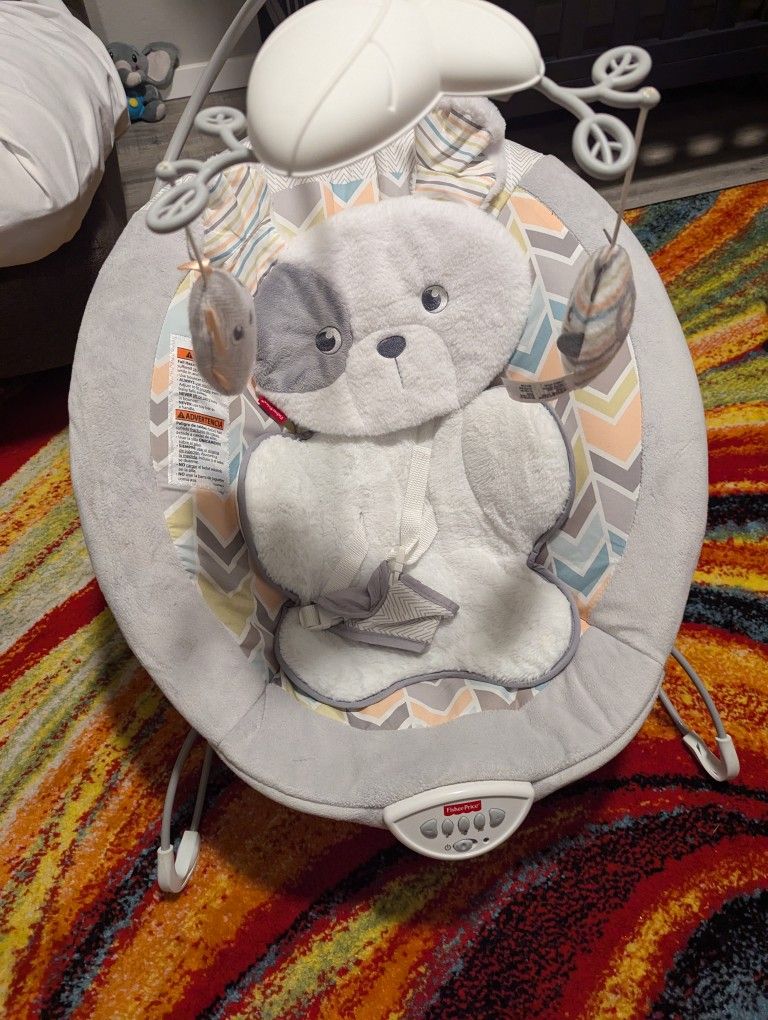 Fisher Puppy Bouncer