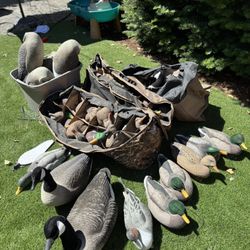 Duck And Goose Hunting Decoys