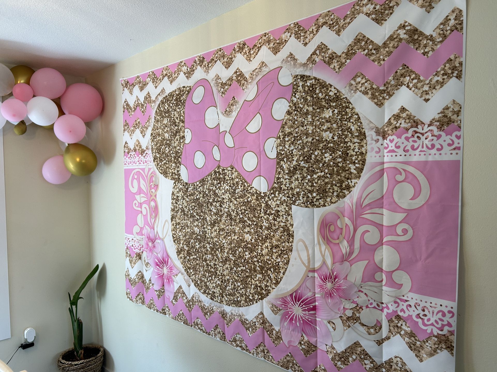 Minnie Mouse 2nd Birthday