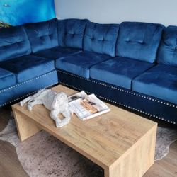Sectional Sofa Blue Velvet 💙 😍 Seccional Reversible 