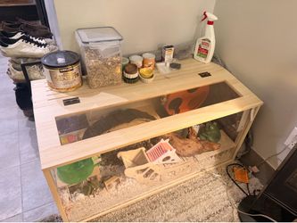 Complete Large Hamster set up!