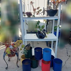 Shelf, Pots And Plants