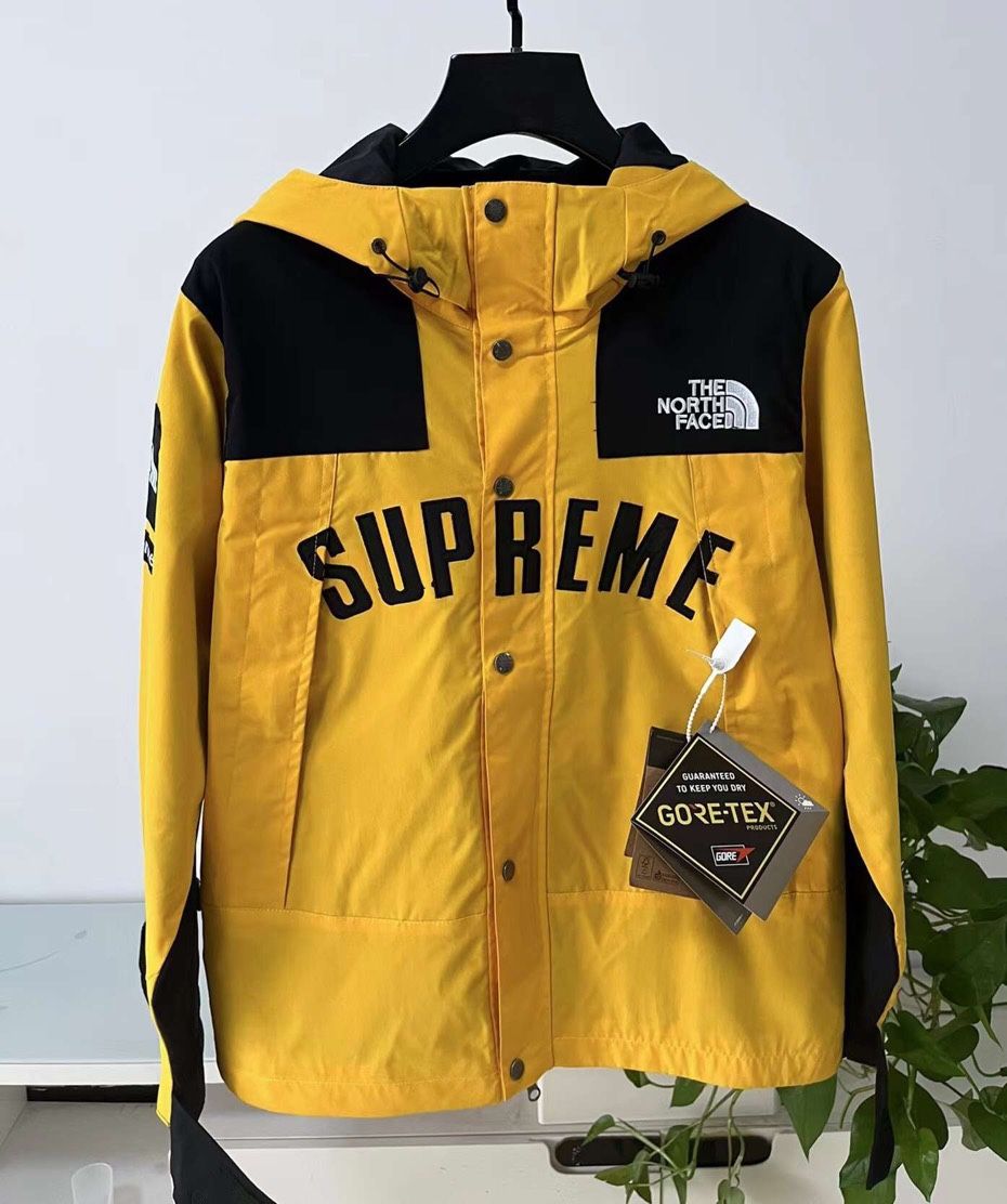 Supreme The North Face Arc Logo Mountain Parka Men