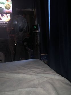Fan $50