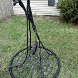 Spider Web Tree Swing 