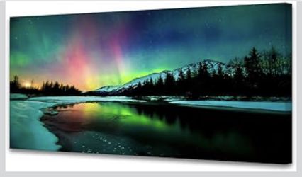 Framed canvas print wall art