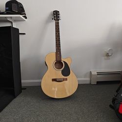 Acoustic-Electric Guitar