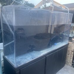 200 Gallon Acrylic Fish Tank 
