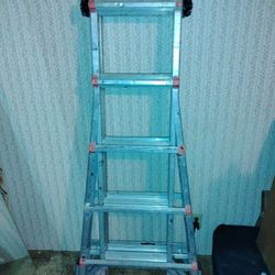 Little Giant Ladder 22'