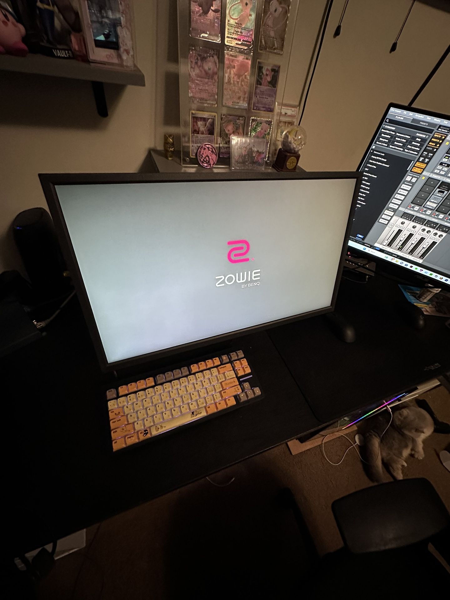 Benq Zowie 240Hz monitor