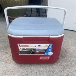 Really Nice Cooler - Coleman 16 Quart 