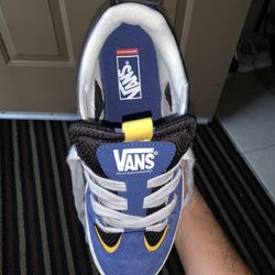 Vans Skateboarding Shoes