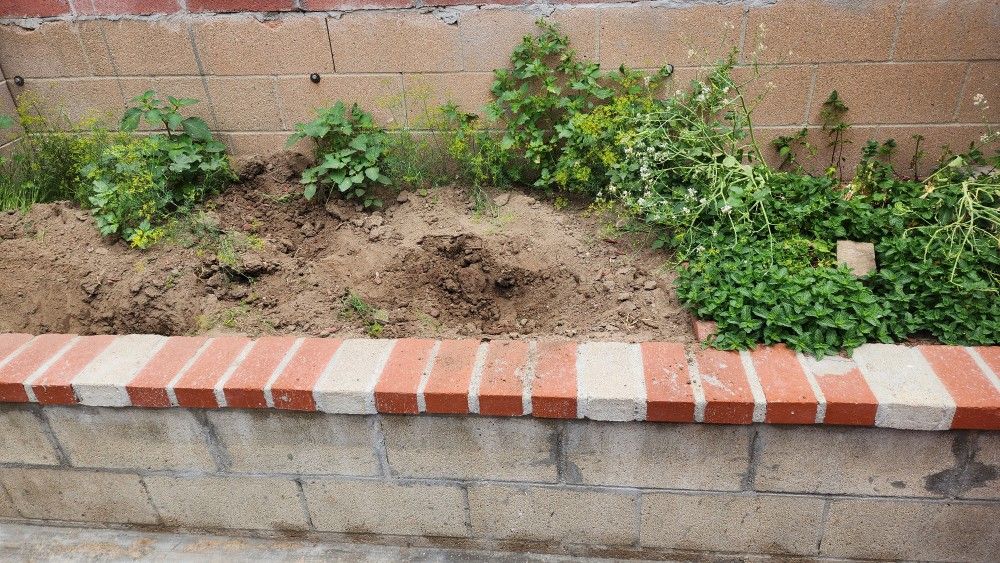 Free Dirt Message To Coordinate The Pickup