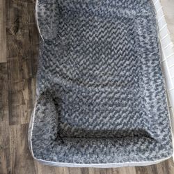 Orthopedic Dog Bed 