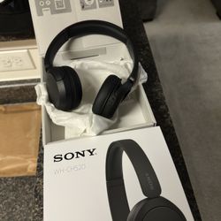 Sony Headphones CH-520N