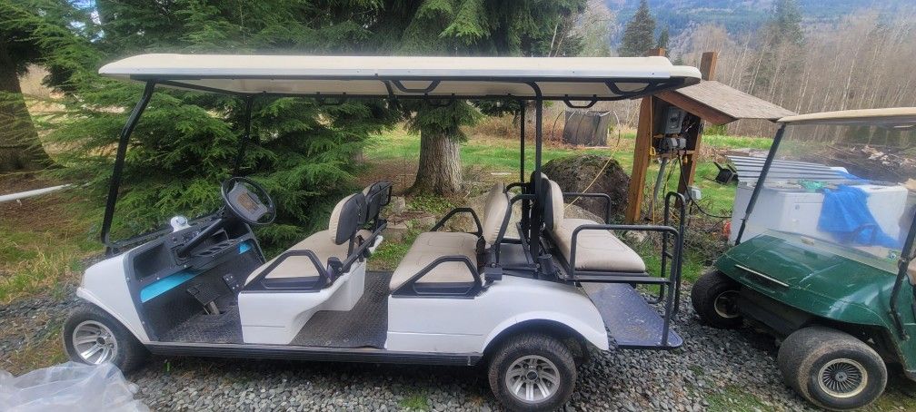 6 Person Electric Golf Cart