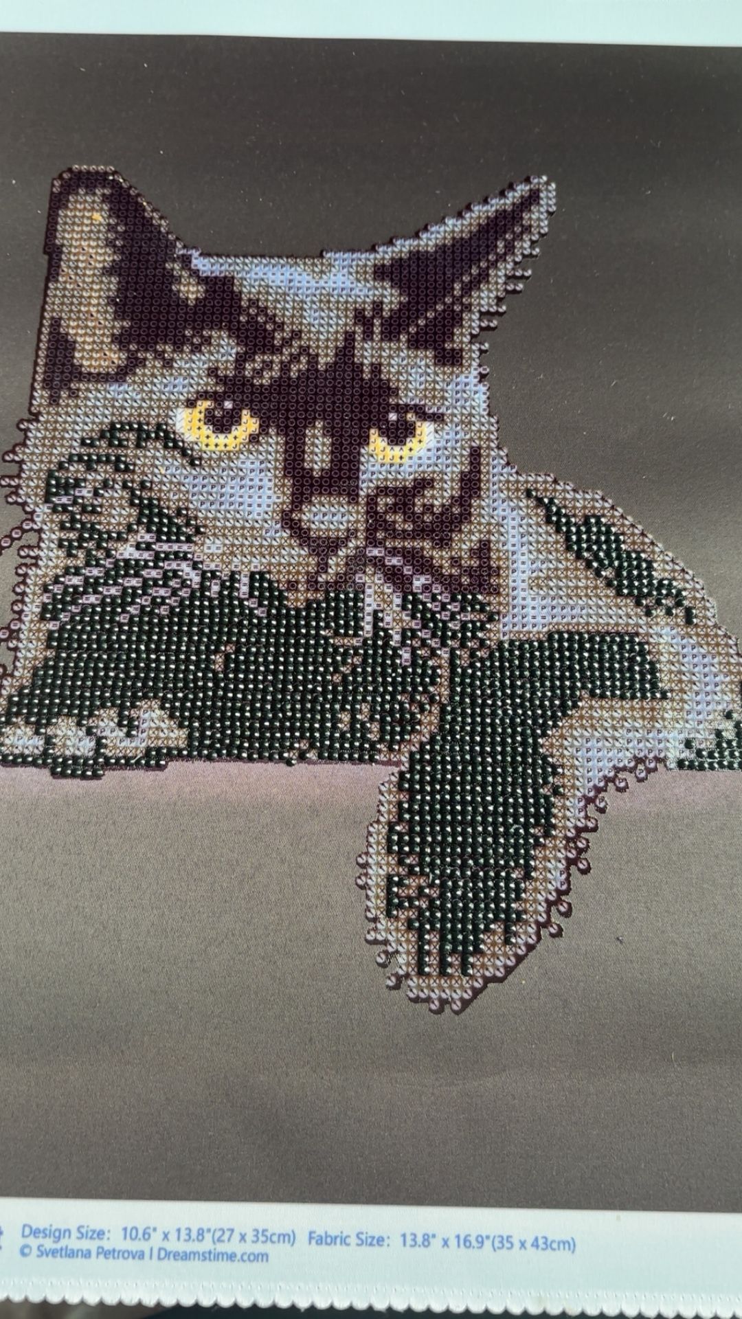 Black Cat Diamond Art Painting 