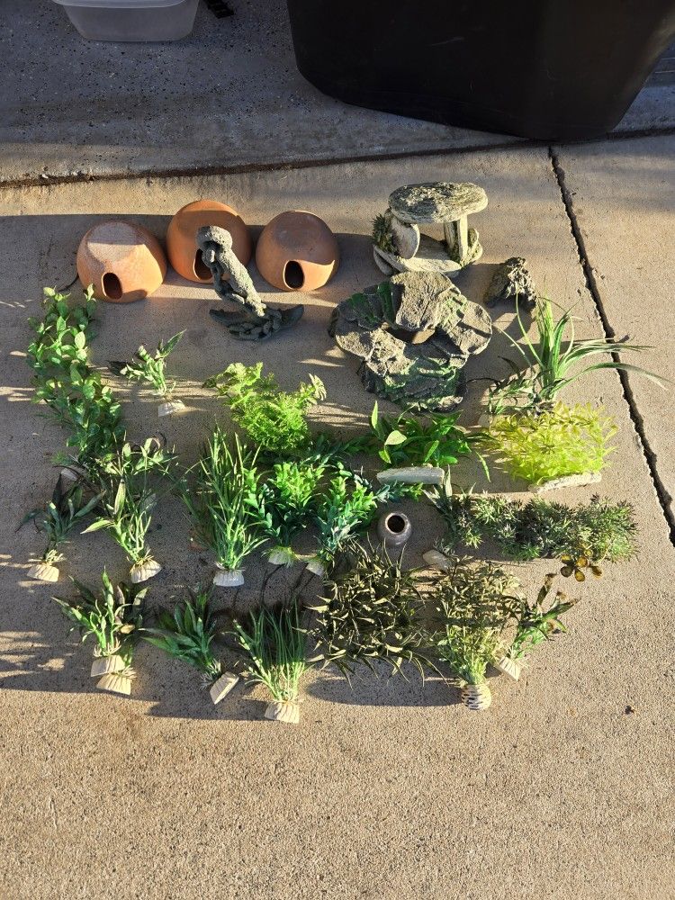 Aquarium Plants And Decorations