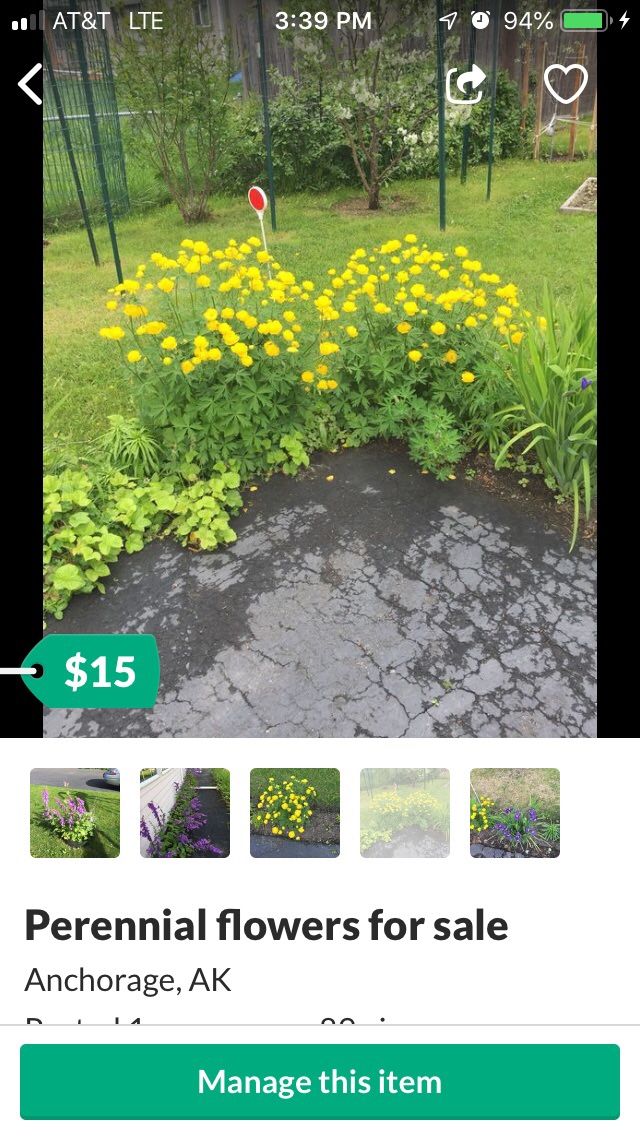 Assorted perinnials started at $18 And up