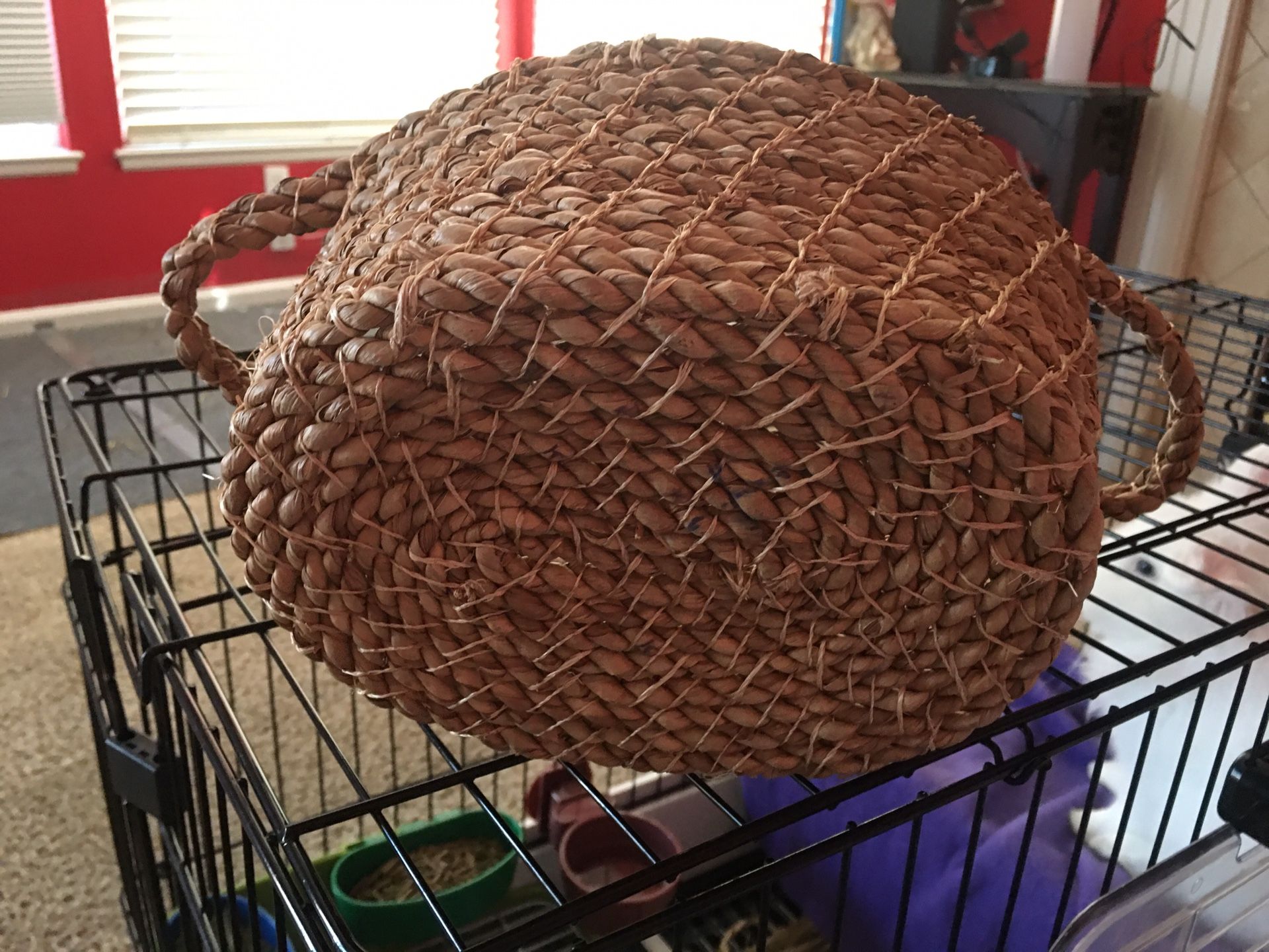 Tightly Woven Baskets, Brand New,Cost Plus, 12” wide, 6 “ high,