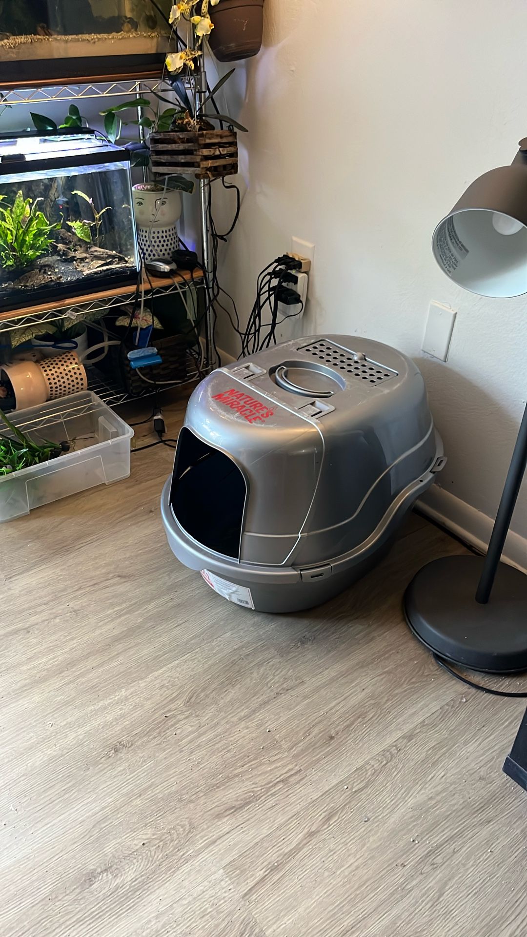 Cat Litter