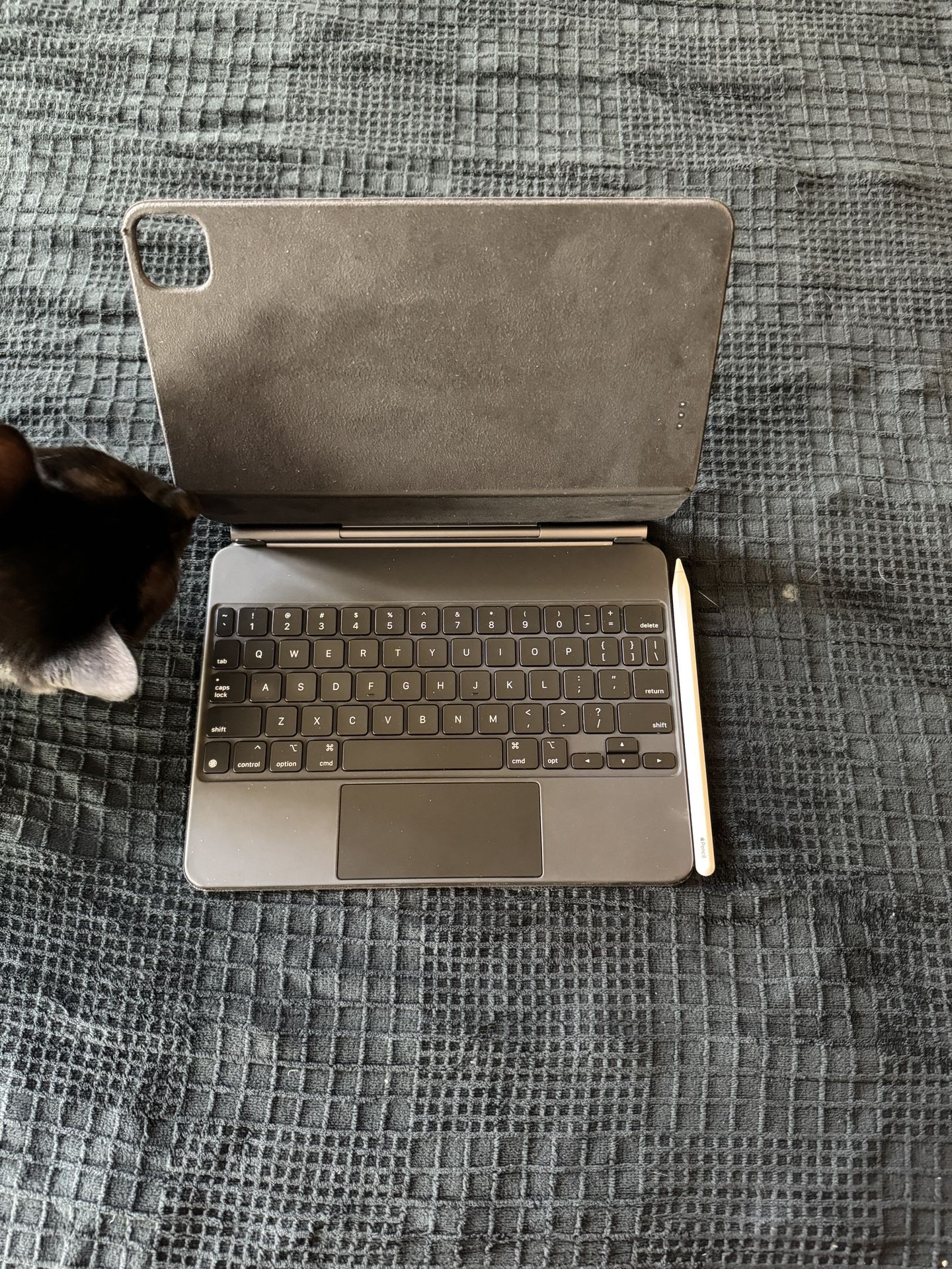 iPad Pro 11 Magic Keyboard And Pencil