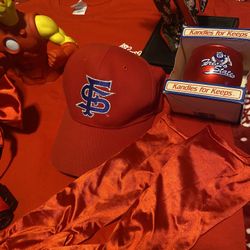 Fresno State Bulldogs set