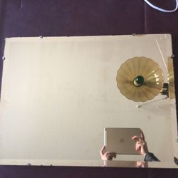 Vinage Mirror, 18 x 24, Vintage, hard oak panel, silverback.