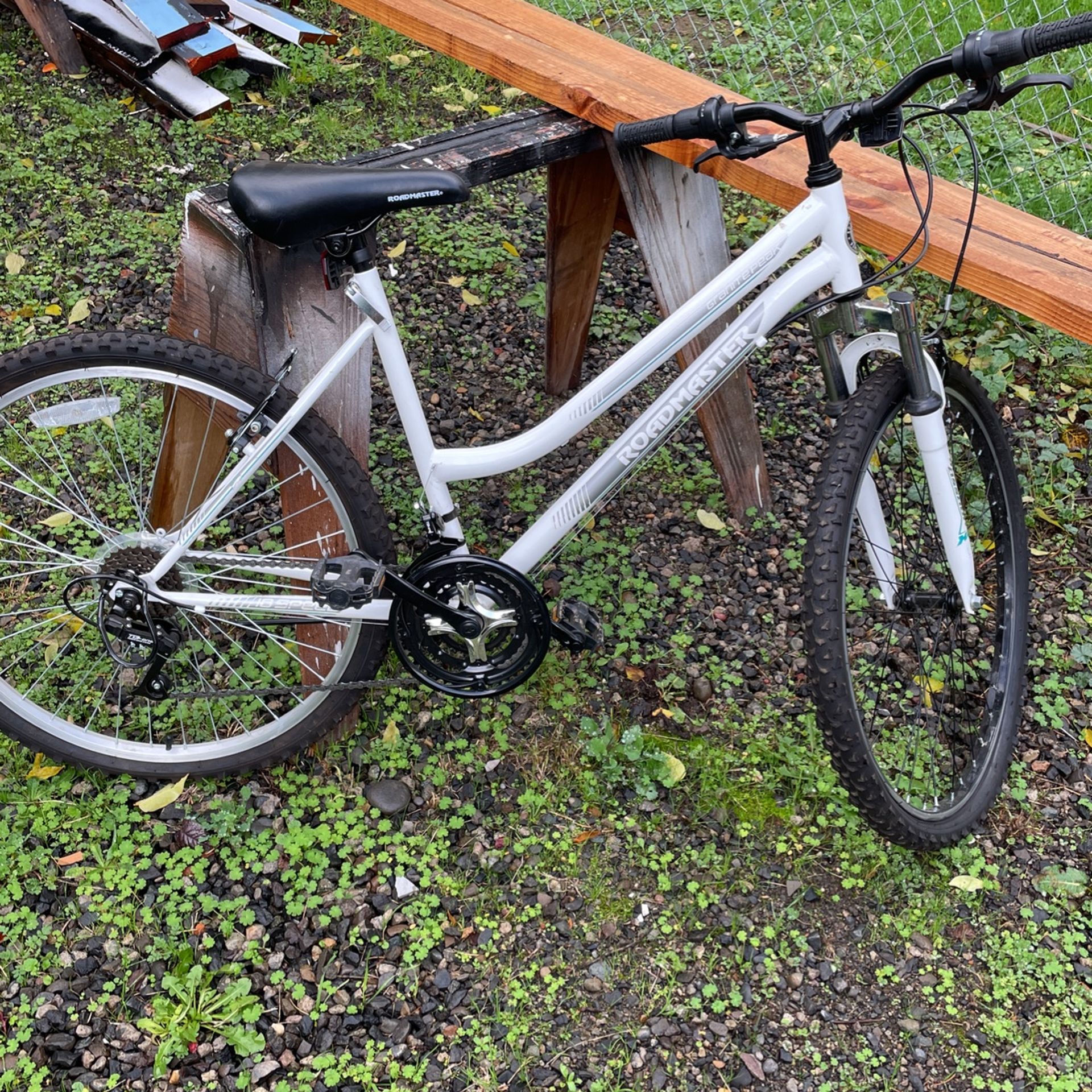 Mountain Bike Roadmaster