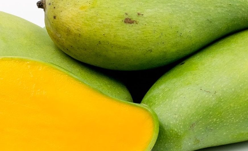 Pram Kai Mea Grafted Mango Tree