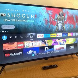 New! 2023 42 Inch Insignia Class F20 Series LED Full HD Smart Fire TV! (Also Have More TVs!)