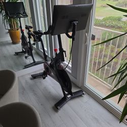 Peloton 1st Gen $450 OBO
