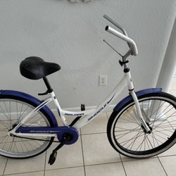 Cruiser Bicycle. As is . You need to put the screw seen in the photo in place. Se Habla Español . 