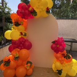 Balloon Garland & Backdrop