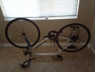 Specialized allez