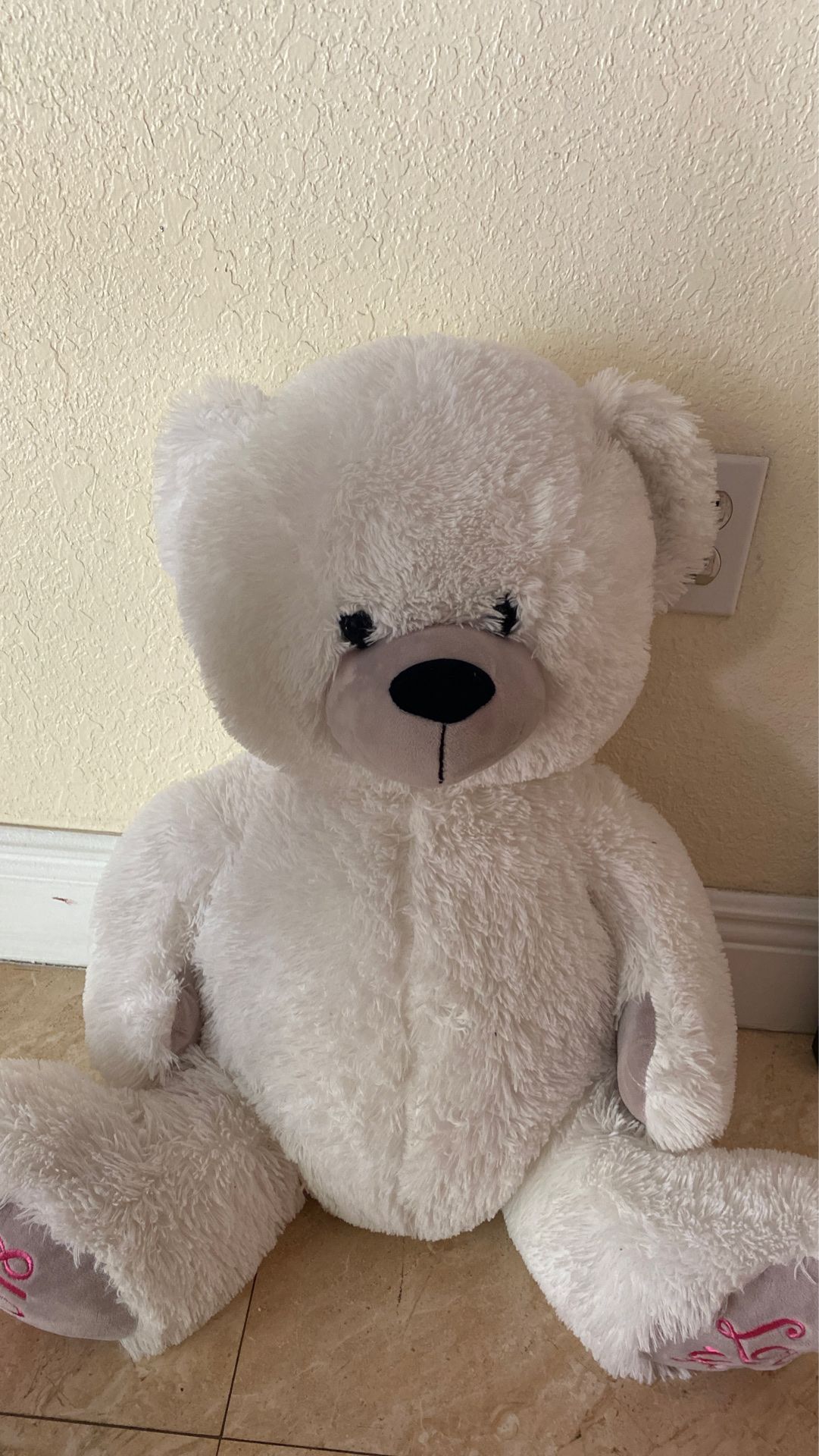 Free stuffed bear