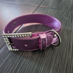 PET COLLAR 