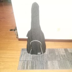 Acoustic Guitar With Case And Pedal Indiana Brand