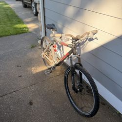 Trek Mountain Bike