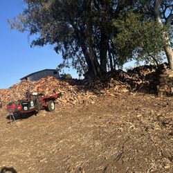 Firewood