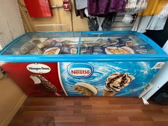 Commercial Chest Freezer with Glass Lid
