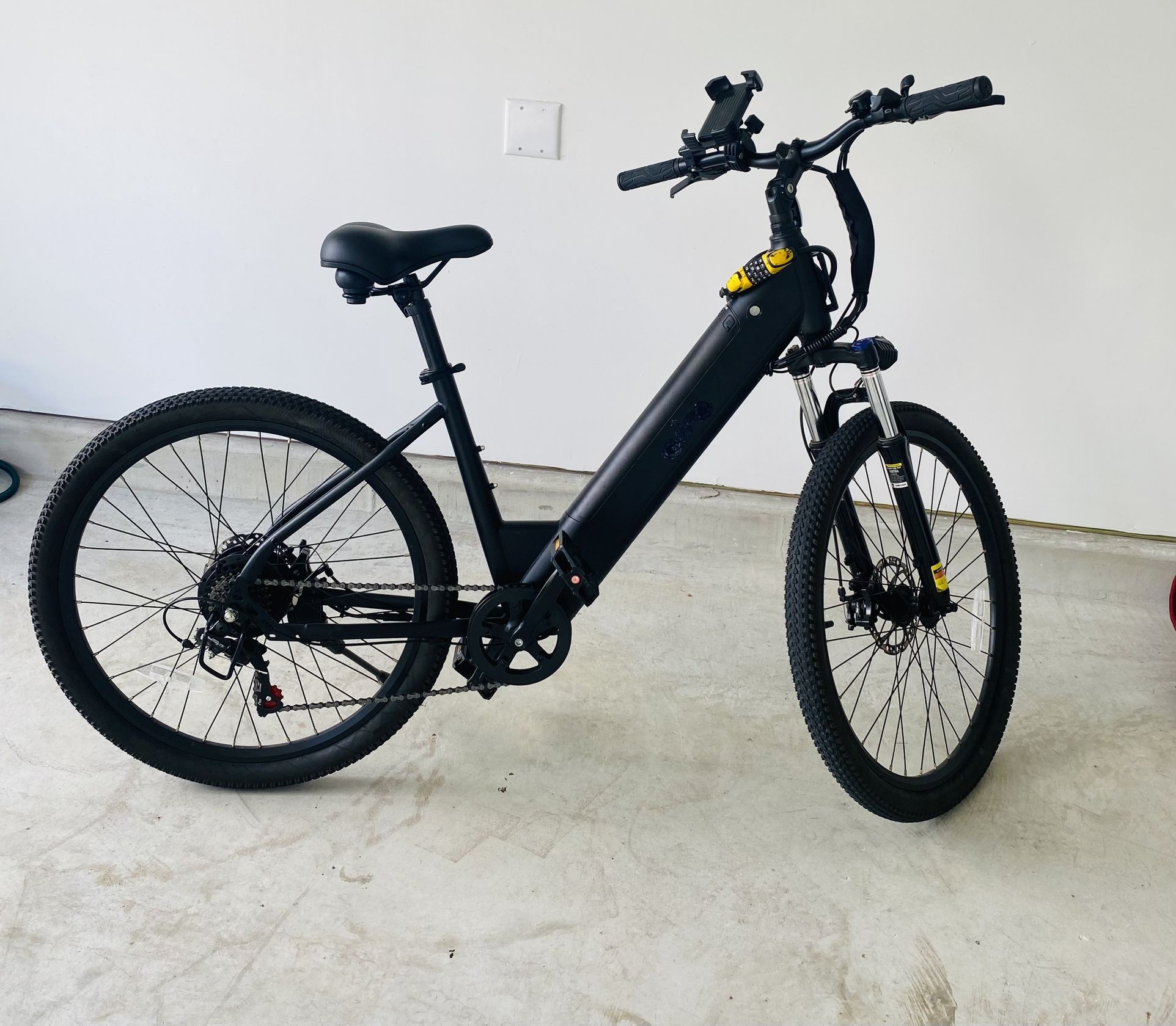 Electric Bike