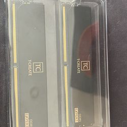 DDR5 RAM STICKS (16GB IN TOTAL)