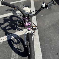 16 Inch Royal Rider Bike