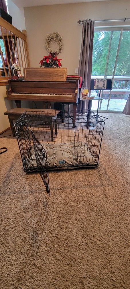 Dog Crate